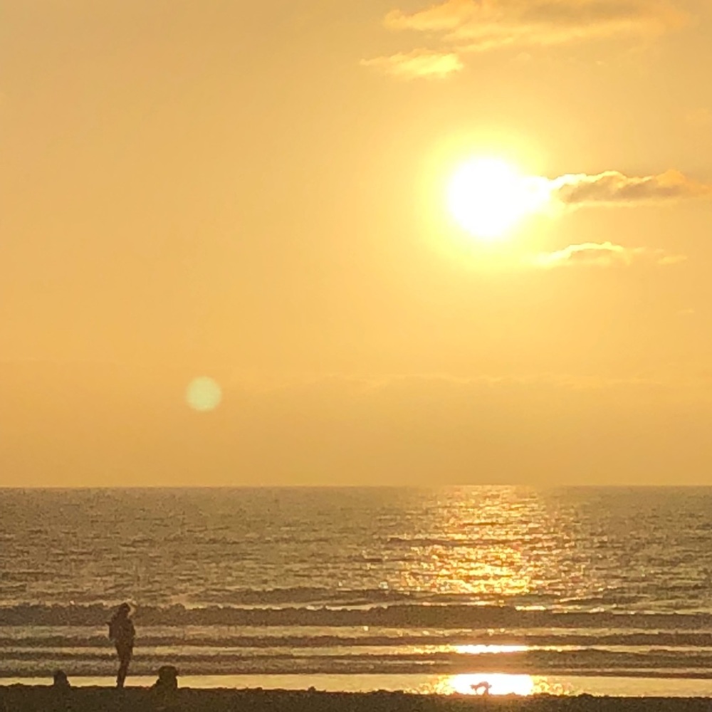 Meet your Posher, Eileen